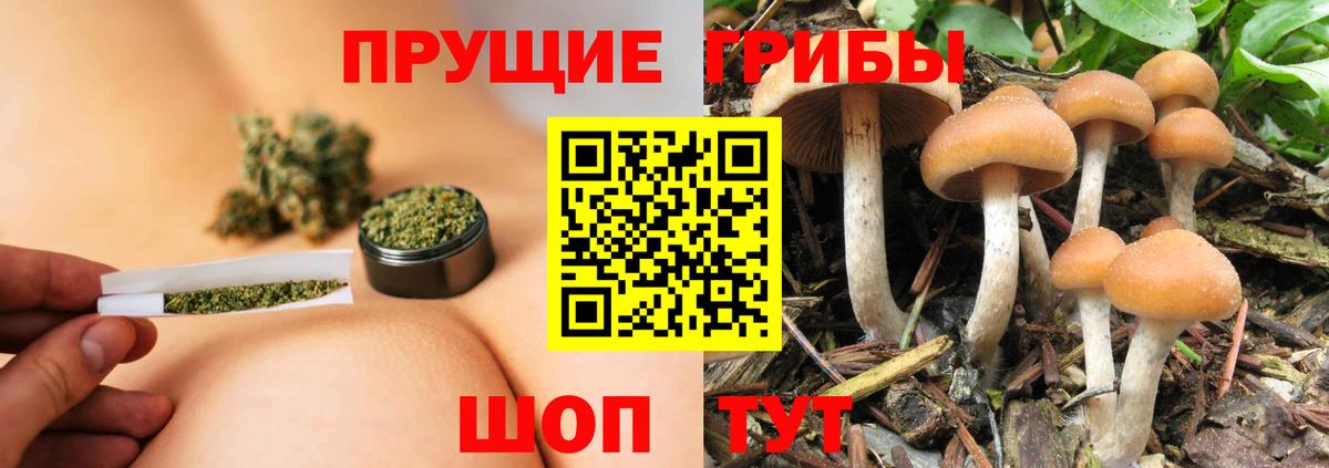 Ковров  Галлюциногенные грибы Cubensis  купить наркоту  Вход с VPN 