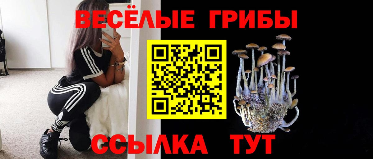 Галлюциногенные грибы GOLDEN TEACHER Ковров